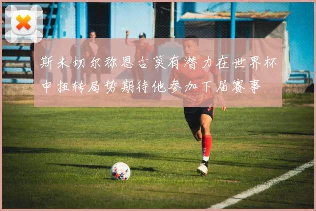 斯米切尔称恩古莫有潜力在世界杯中扭转局势期待他参加下届赛事